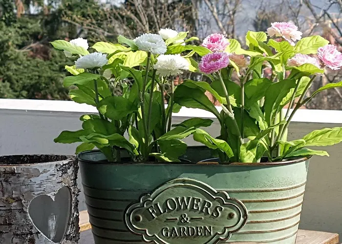 Apartamento Zweisamkeit